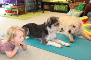 Play therapy with dogs